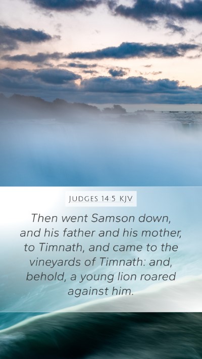 Judges 14:5 KJV Bible Verse Image