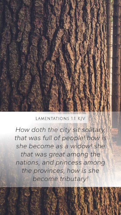 Lamentations 1:1 KJV Bible Verse Image