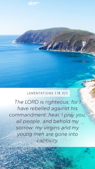 Lamentations 1:18 KJV Bible Verse Image