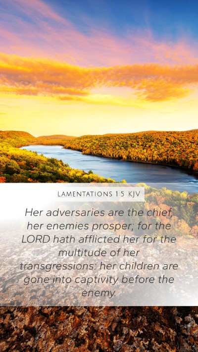 Lamentations 1:5 KJV Bible Verse Image