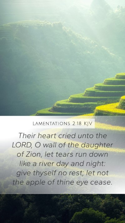 Lamentations 2:18 KJV Bible Verse Image