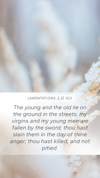 Lamentations 2:21 KJV Bible Verse Image