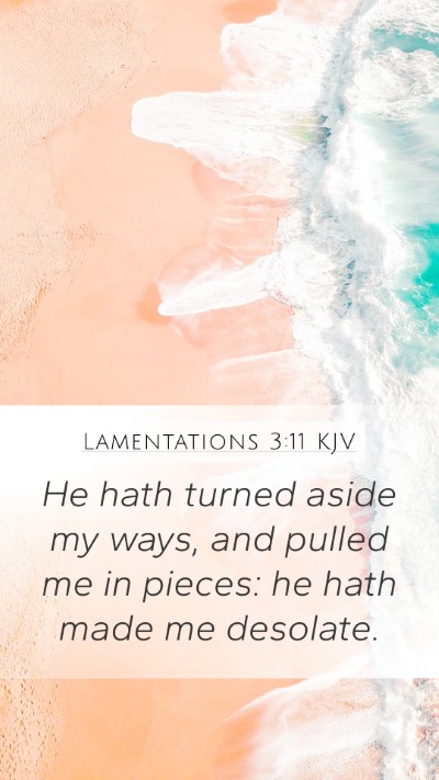 Lamentations 3:11 KJV Bible Verse Image