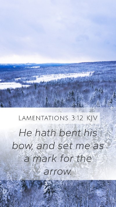 Lamentations 3:12 KJV Bible Verse Image