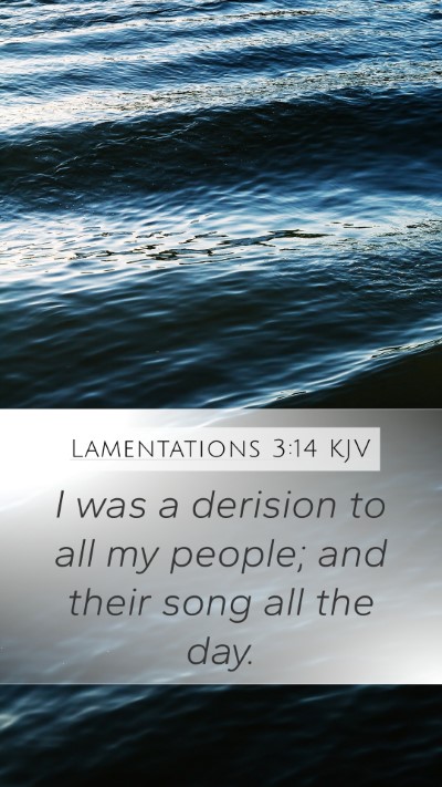 Lamentations 3:14 KJV Bible Verse Image