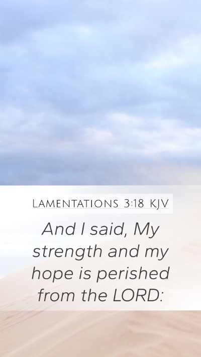 Lamentations 3:18 KJV Bible Verse Image