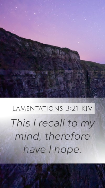 Lamentations 3:21 KJV Bible Verse Image