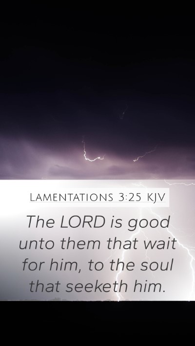 Lamentations 3:25 KJV Bible Verse Image
