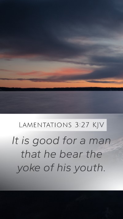 Lamentations 3:27 KJV Bible Verse Image