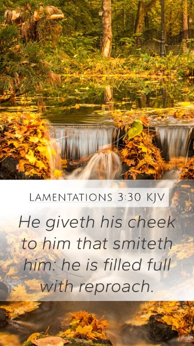 Lamentations 3:30 KJV Bible Verse Image