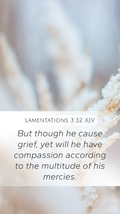 Lamentations 3:32 KJV Bible Verse Image