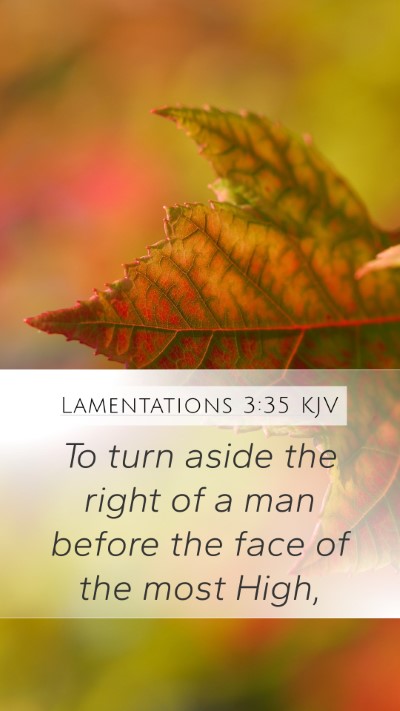 Lamentations 3:35 KJV Mobile Phone Wallpaper - To turn aside the right of a man before the face - Mobile Bible Verse Wallpaper