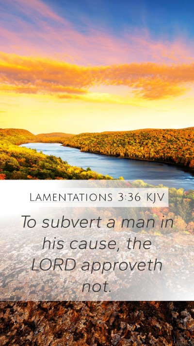 Lamentations 3:36 KJV Mobile Phone Wallpaper - To subvert a man in his cause, the LORD approveth - Mobile Bible Verse Wallpaper