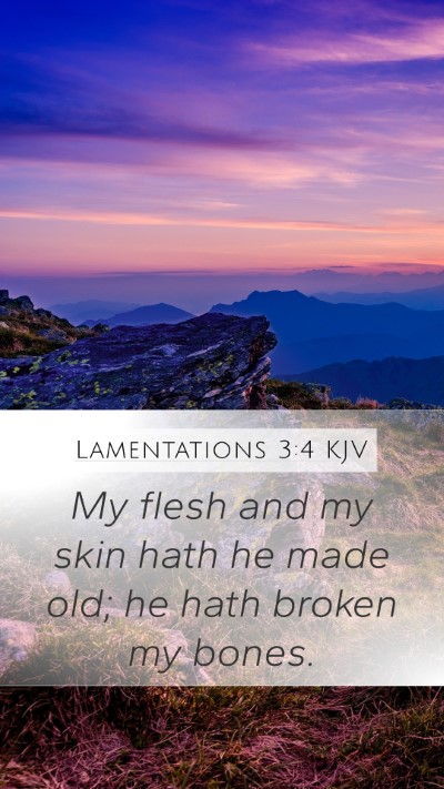 Lamentations 3:4 KJV Mobile Phone Wallpaper - My flesh and my skin hath he made old; he hath - Mobile Bible Verse Wallpaper