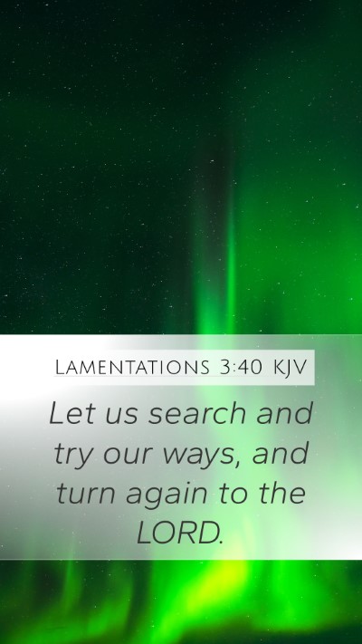 Lamentations 3:40 KJV Bible Verse Image