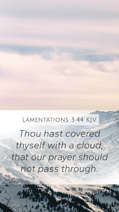 Lamentations 3:44 KJV Bible Verse Image