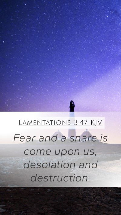 Lamentations 3:47 KJV Bible Verse Image