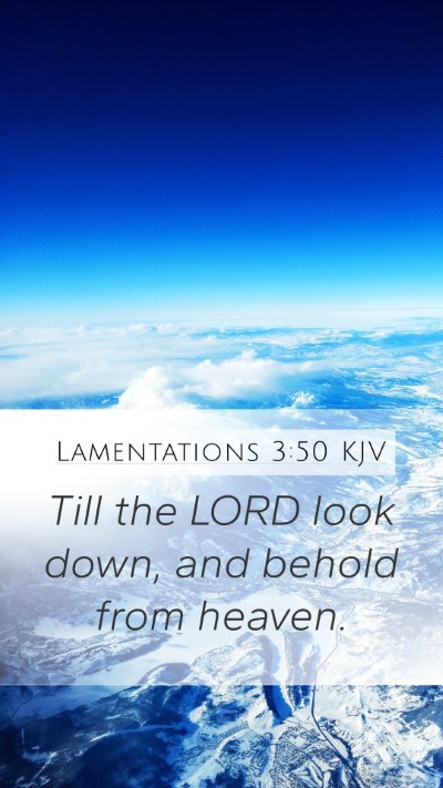 Lamentations 3:50 KJV Bible Verse Image