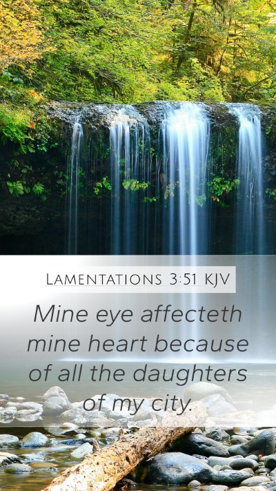 Lamentations 3:51 KJV Mobile Phone Wallpaper - Mine eye affecteth mine heart because of all the - Mobile Bible Verse Wallpaper