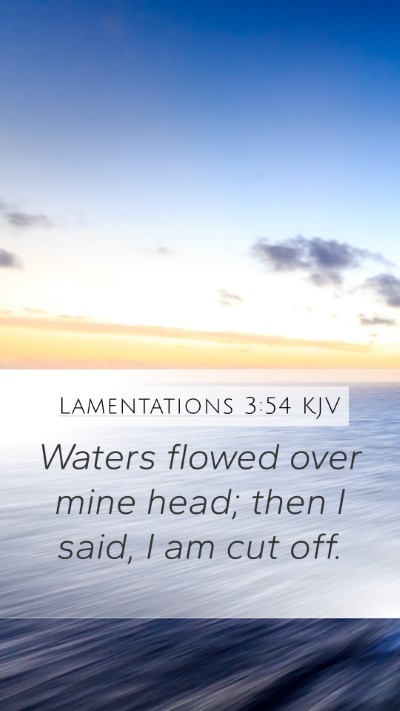 Lamentations 3:54 KJV Bible Verse Image