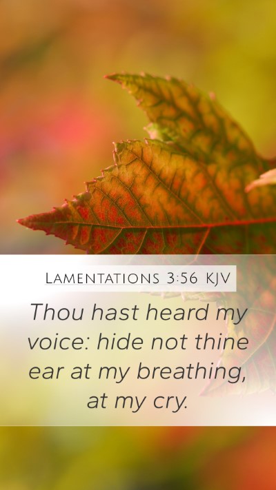 Lamentations 3:56 KJV Mobile Phone Wallpaper - Thou hast heard my voice: hide not thine ear at - Mobile Bible Verse Wallpaper