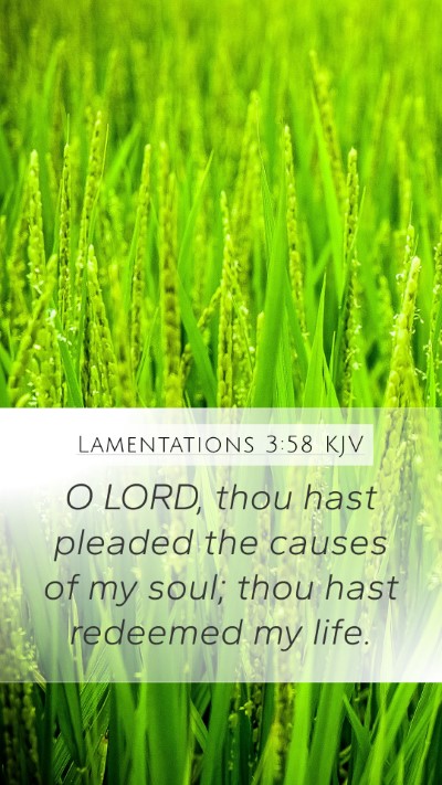 Lamentations 3:58 KJV Mobile Phone Wallpaper - O LORD, thou hast pleaded the causes of my soul; - Mobile Bible Verse Wallpaper