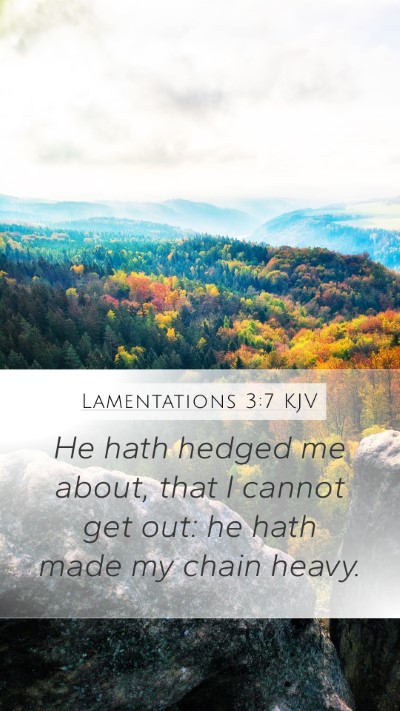 Lamentations 3:7 KJV Bible Verse Image