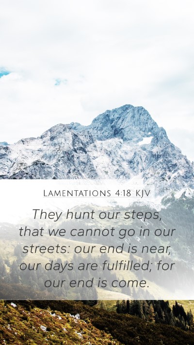 Lamentations 4:18 KJV Bible Verse Image