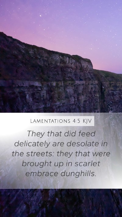 Lamentations 4:5 KJV Bible Verse Image