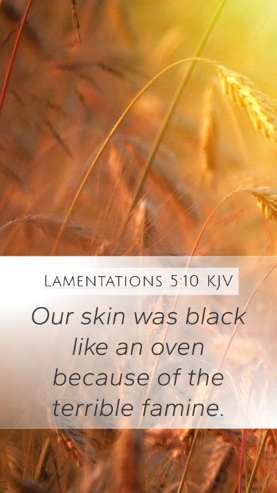 Lamentations 5:10 KJV Mobile Phone Wallpaper - Our skin was black like an oven because of the - Mobile Bible Verse Wallpaper