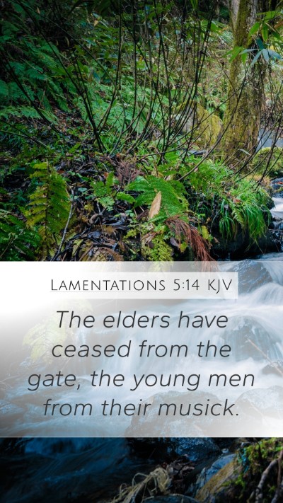 Lamentations 5:14 KJV Bible Verse Image