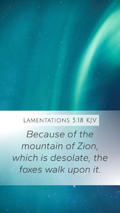Lamentations 5:18 KJV Bible Verse Image