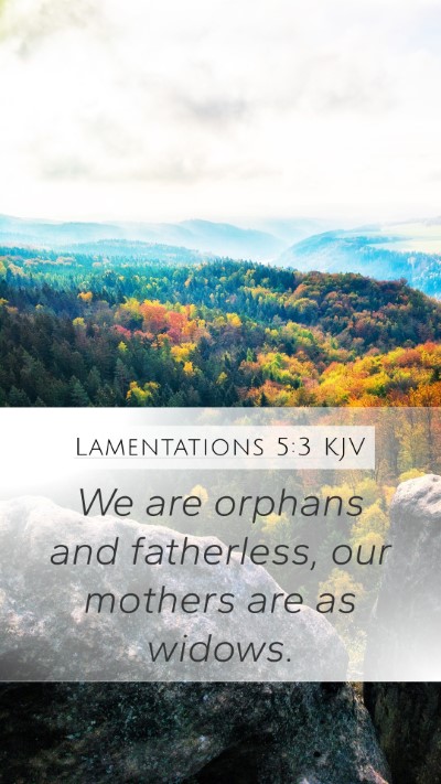 Lamentations 5:3 KJV Bible Verse Image
