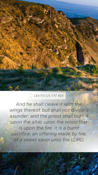 Leviticus 1:17 KJV Bible Verse Image