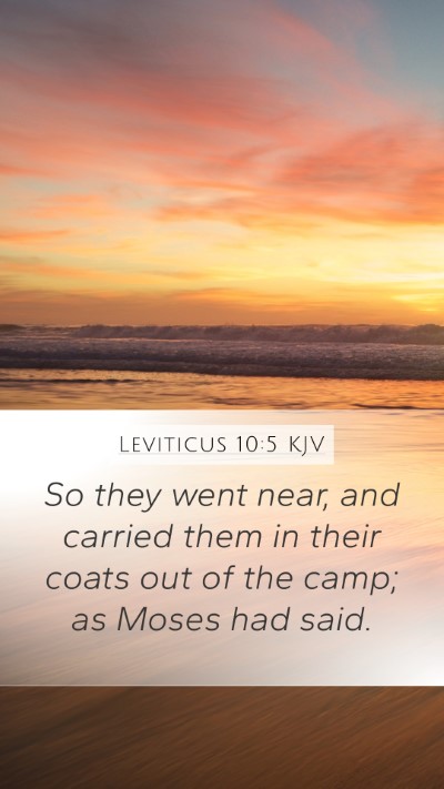 Leviticus 10:5 KJV Bible Verse Image