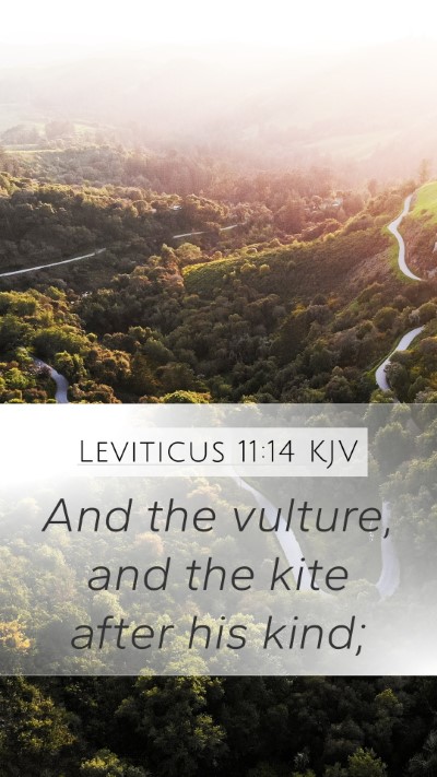 Leviticus 11:14 KJV Mobile Phone Wallpaper - And the vulture, and the kite after his - Mobile Bible Verse Wallpaper