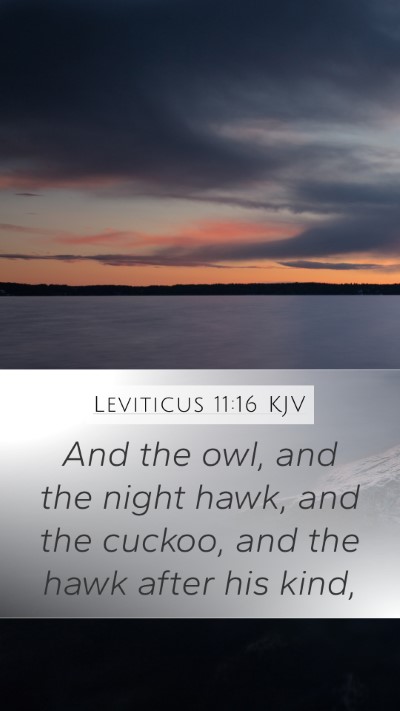 Leviticus 11:16 KJV Mobile Phone Wallpaper - And the owl, and the night hawk, and the cuckoo, - Mobile Bible Verse Wallpaper