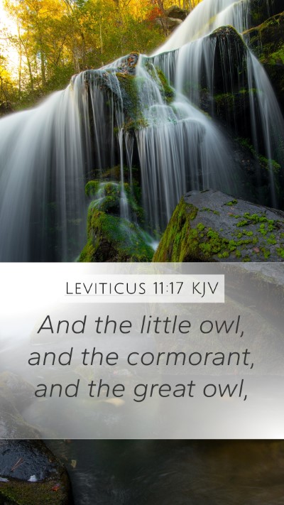 Leviticus 11:17 KJV Mobile Phone Wallpaper - And the little owl, and the cormorant, and the - Mobile Bible Verse Wallpaper