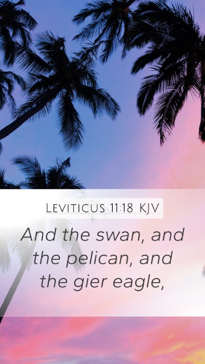 Leviticus 11:18 KJV Mobile Phone Wallpaper - And the swan, and the pelican, and the gier - Mobile Bible Verse Wallpaper