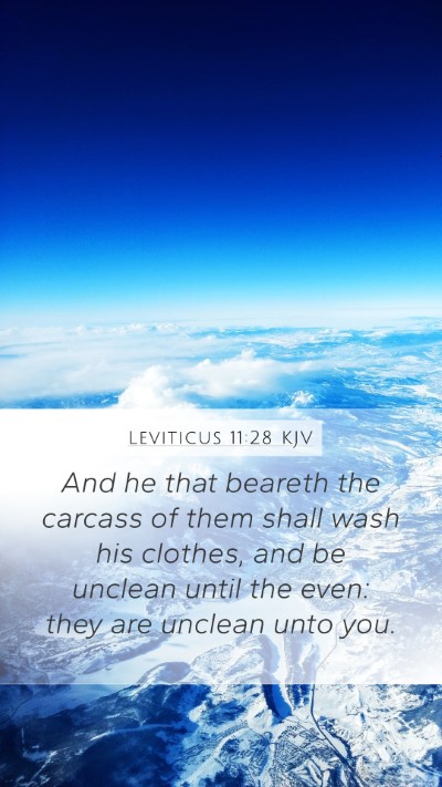 Leviticus 11:28 KJV Bible Verse Image