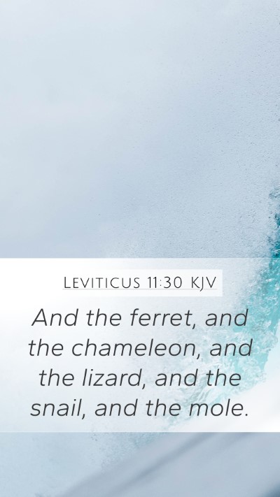 Leviticus 11:30 KJV Mobile Phone Wallpaper - And the ferret, and the chameleon, and the - Mobile Bible Verse Wallpaper