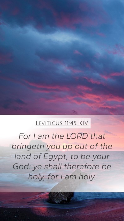 Leviticus 11:45 KJV Bible Verse Image