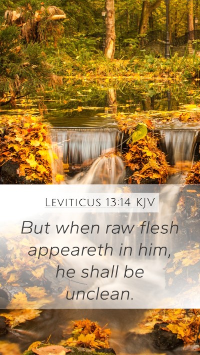Leviticus 13:14 KJV Bible Verse Image