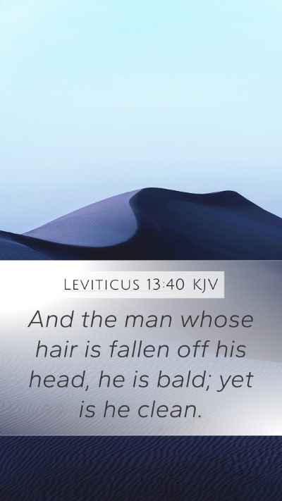 Leviticus 13:40 KJV Mobile Phone Wallpaper - And the man whose hair is fallen off his head, he - Mobile Bible Verse Wallpaper