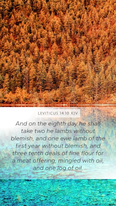 Leviticus 14:10 KJV Bible Verse Image