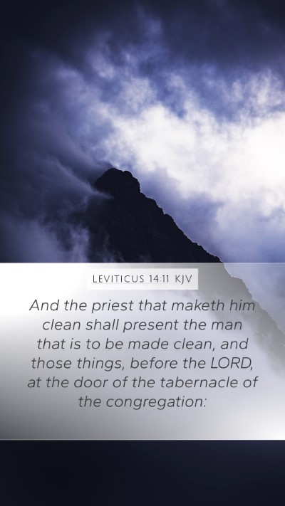 Leviticus 14:11 KJV Mobile Phone Wallpaper - And the priest that maketh him clean shall - Mobile Bible Verse Wallpaper