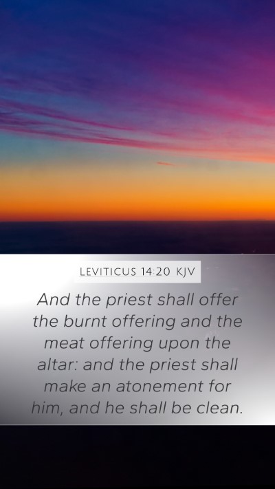 Leviticus 14:20 KJV Bible Verse Image