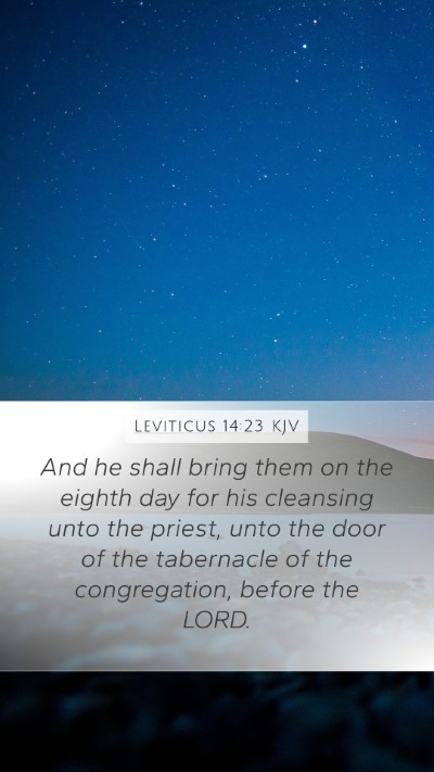 Leviticus 14:23 KJV Bible Verse Image