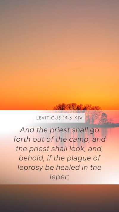 Leviticus 14:3 KJV Bible Verse Image