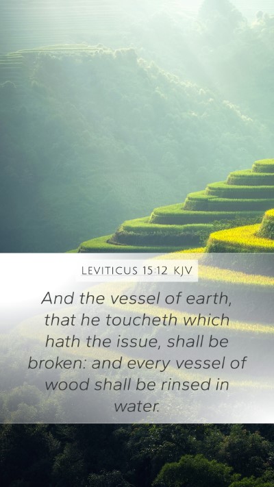 Leviticus 15:12 KJV Bible Verse Image